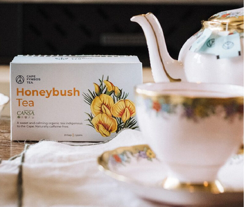 Member Spotlight: Cape Honeybush Tea