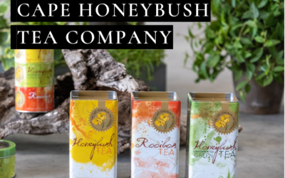 Member Spotlight: Cape Honeybush