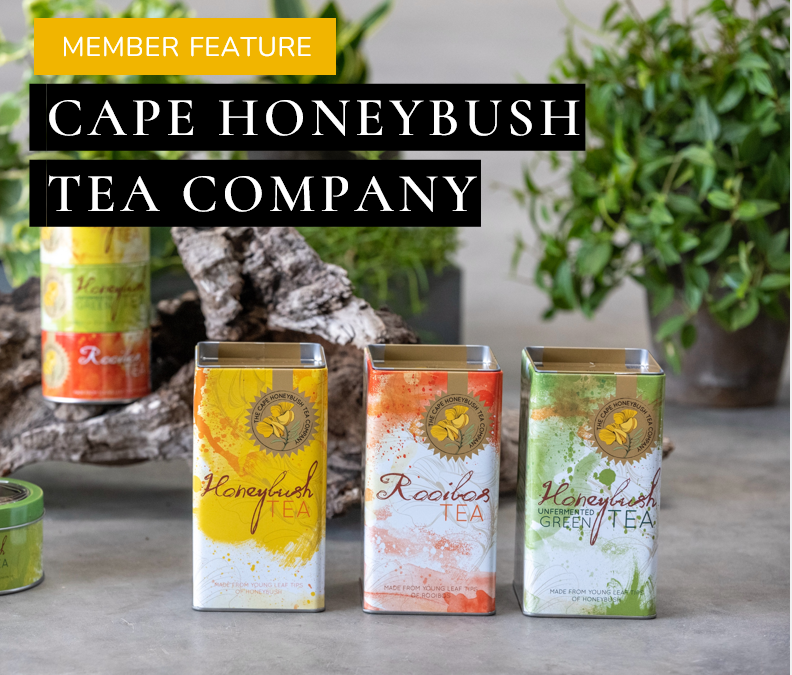 Member Spotlight: Cape Honeybush