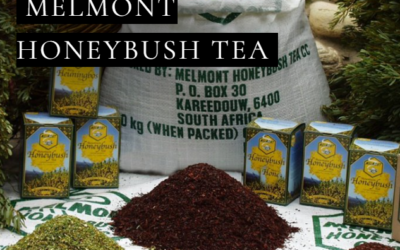 Member Spotlight: Melmont Honeybush Tea 