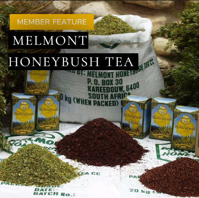 Member Spotlight: Melmont Honeybush Tea 