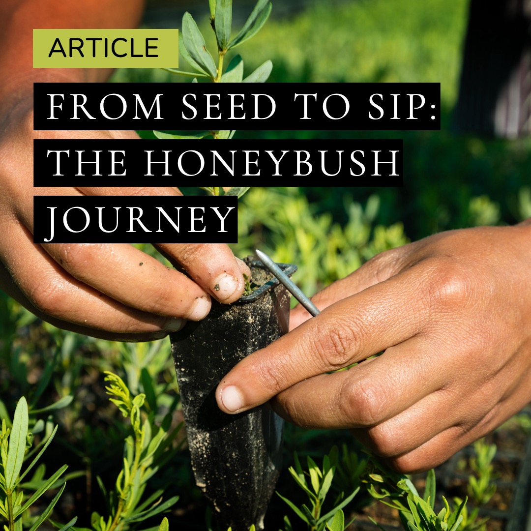 Seed to Sip