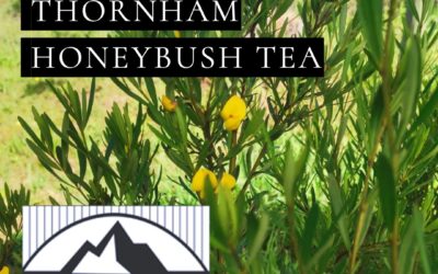 Member Spotlight: Thornham Honeybush Tea