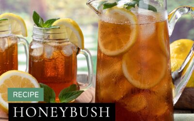 Sip into summer with Honeybush Iced Tea