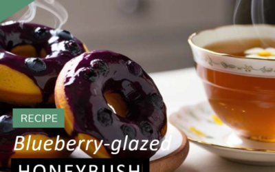 Blueberry-Glazed Vegan Honeybush Doughnuts