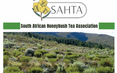 BOARD Newsletter Edition #1