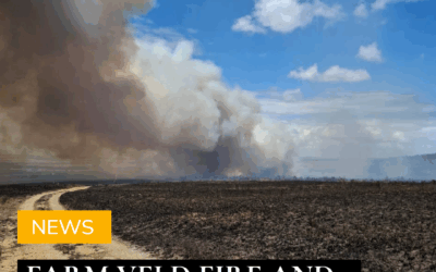 Farm Veld Fire and Honeybush Tea. Lessons learned.