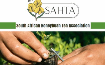 BOARD newsletter Edition #2