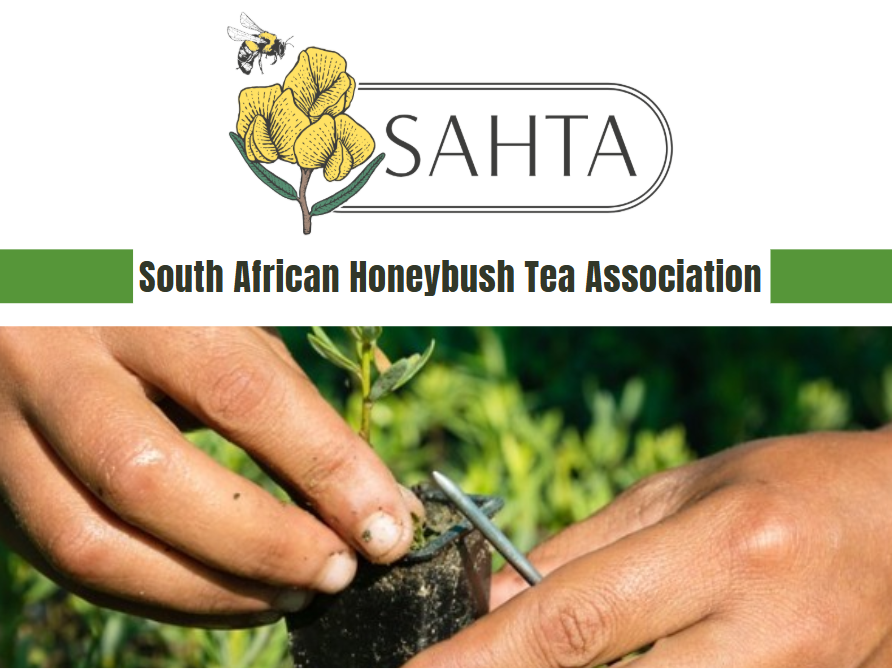 BOARD newsletter Edition #2