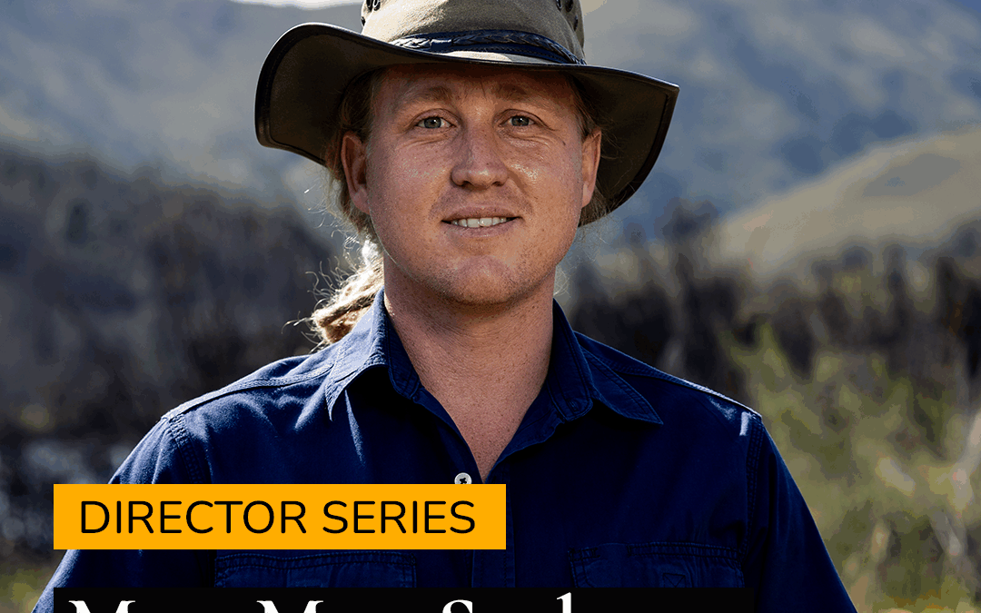 Director Series: Meet Matt Sephton